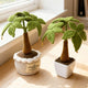 Handmade Crochet Money Tree