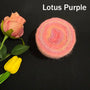 Lotus Purple